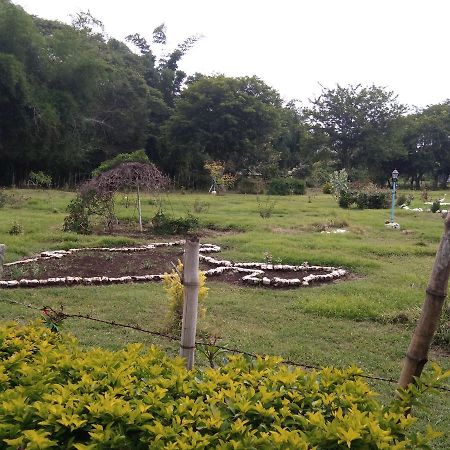 Blue Valley Jungle Resort Nilgiris ภายนอก รูปภาพ