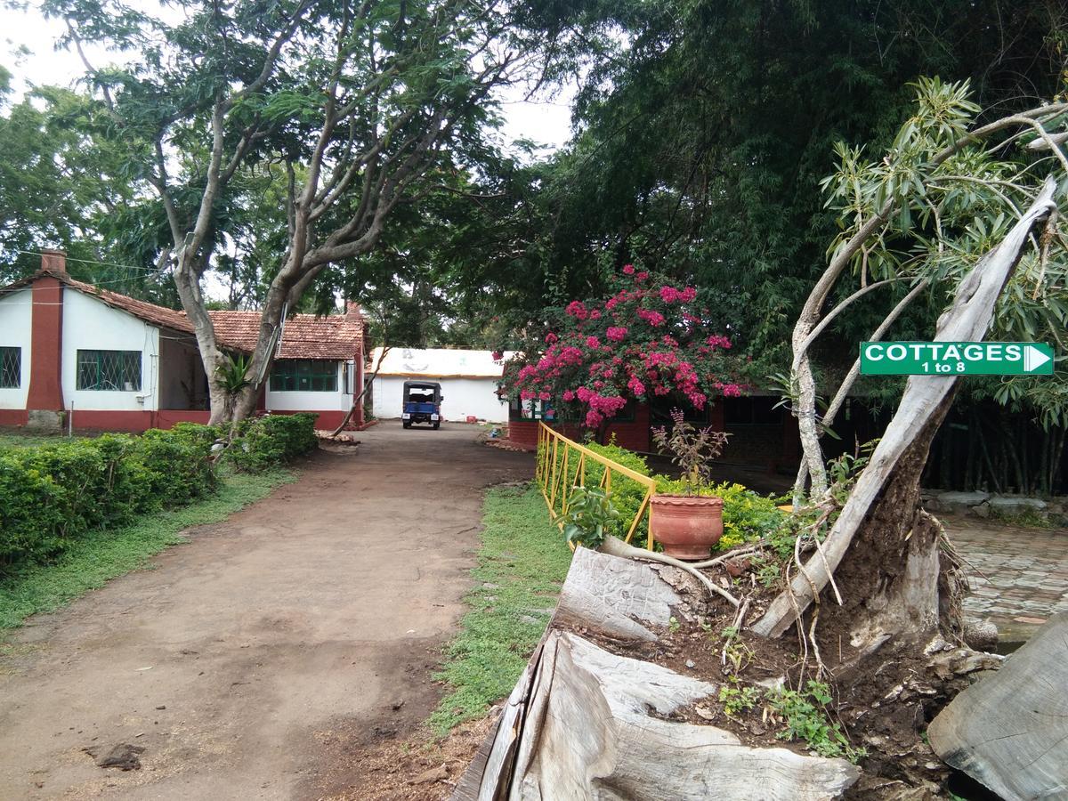 Blue Valley Jungle Resort Nilgiris ภายนอก รูปภาพ